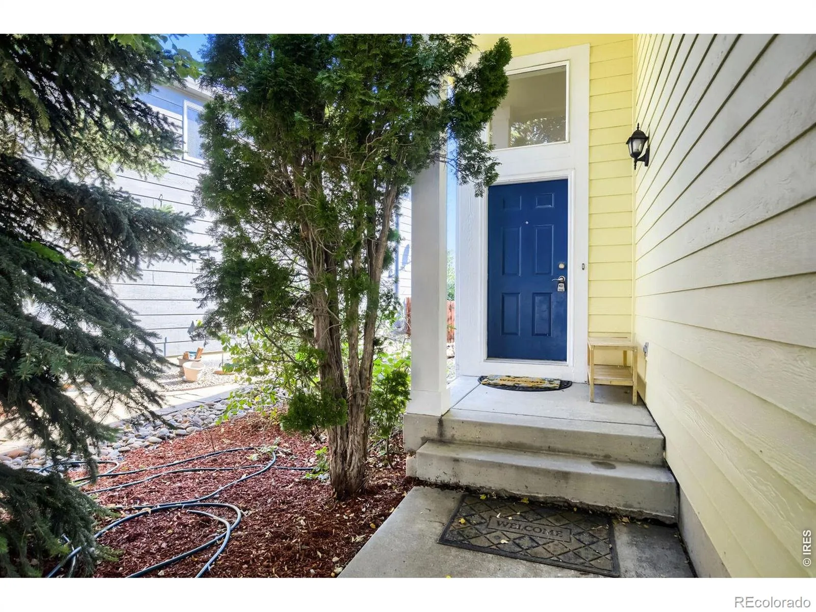 3451 Larkspur Drive Longmont CO 80503 | MLS #RECIR1067470 08282026185725 1600 1