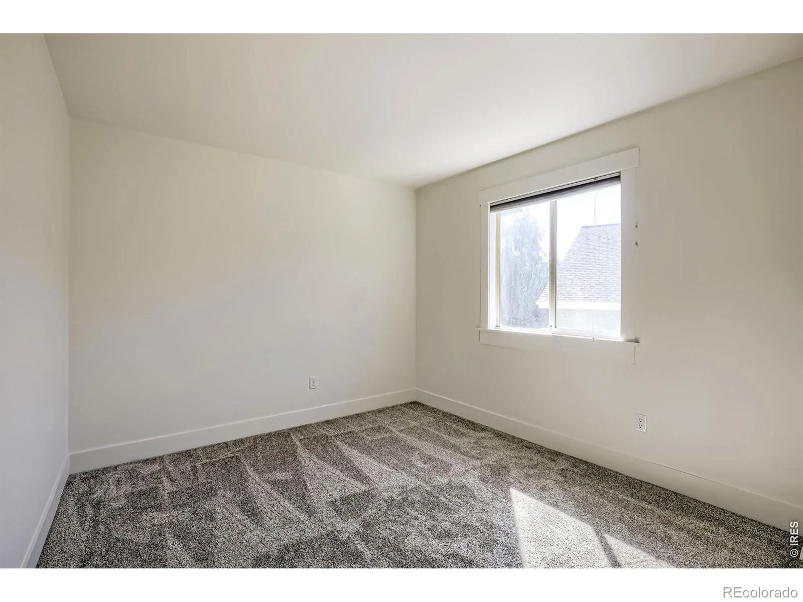 3451 Larkspur Drive Longmont CO 80503 | MLS #RECIR1067470 08282026185725 1600 20