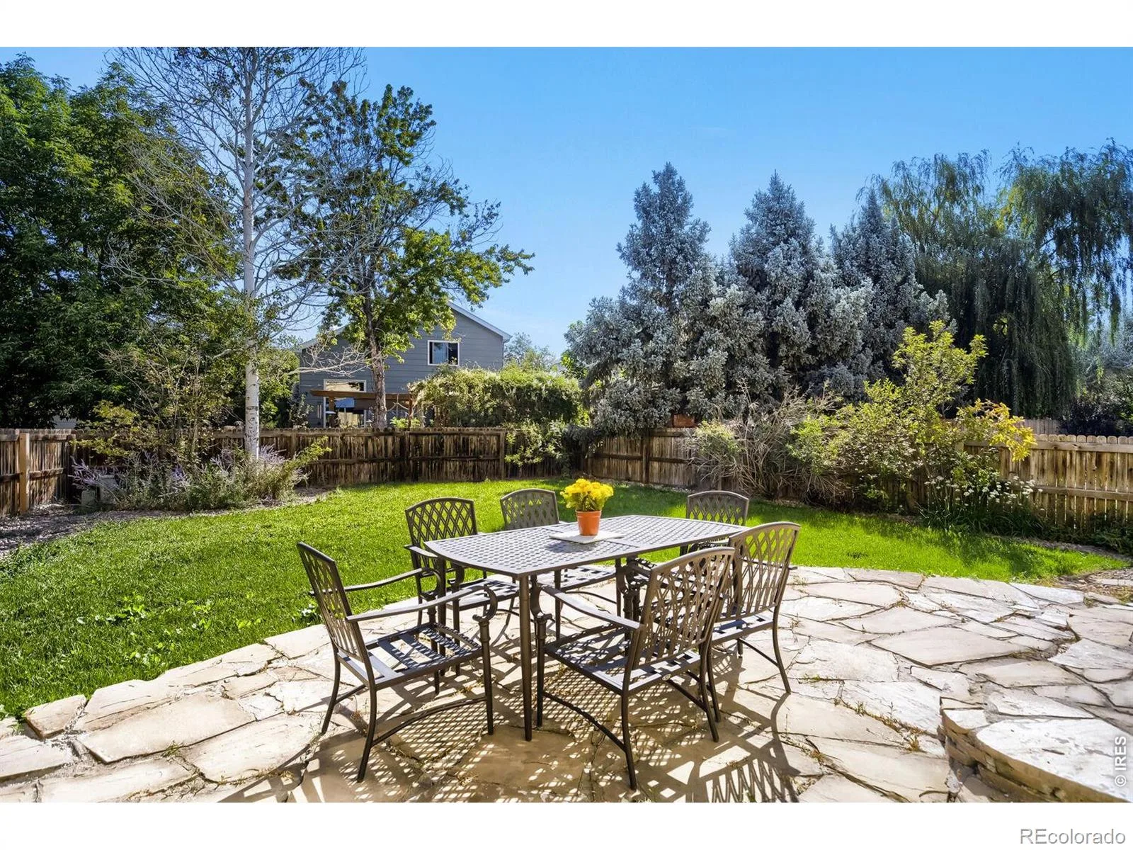 3451 Larkspur Drive Longmont CO 80503 | MLS #RECIR1067470 08282026185725 1600 25