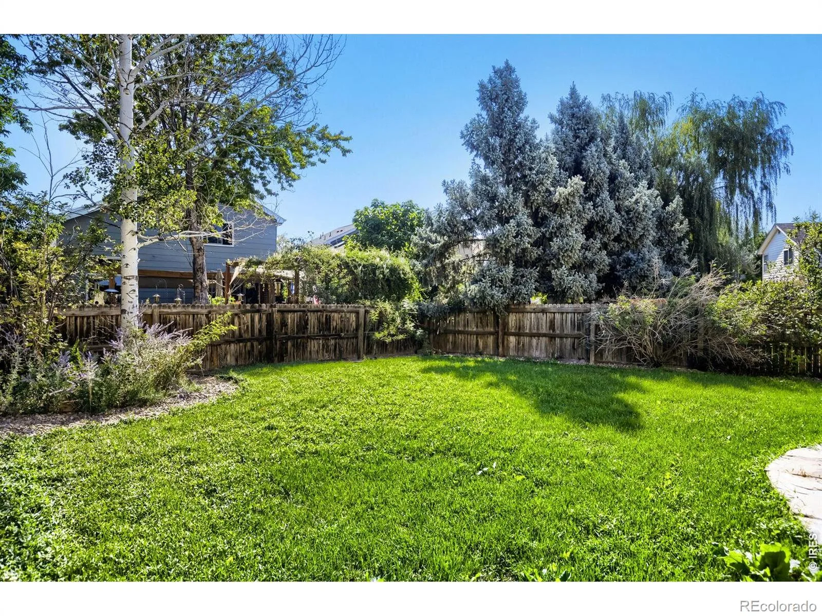 3451 Larkspur Drive Longmont CO 80503 | MLS #RECIR1067470 08282026185725 1600 26