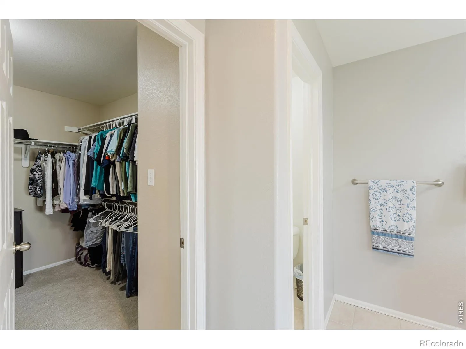 6674 Sunburst Avenue Firestone CO 80504 | MLS #RECIR1067496 08282026215147 1600 23