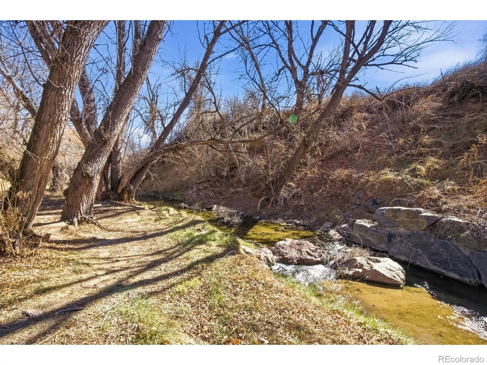 347 W Rafferty Gardens Avenue Littleton CO 80120 | MLS #RECIR1067536 08292026161734 1600 8