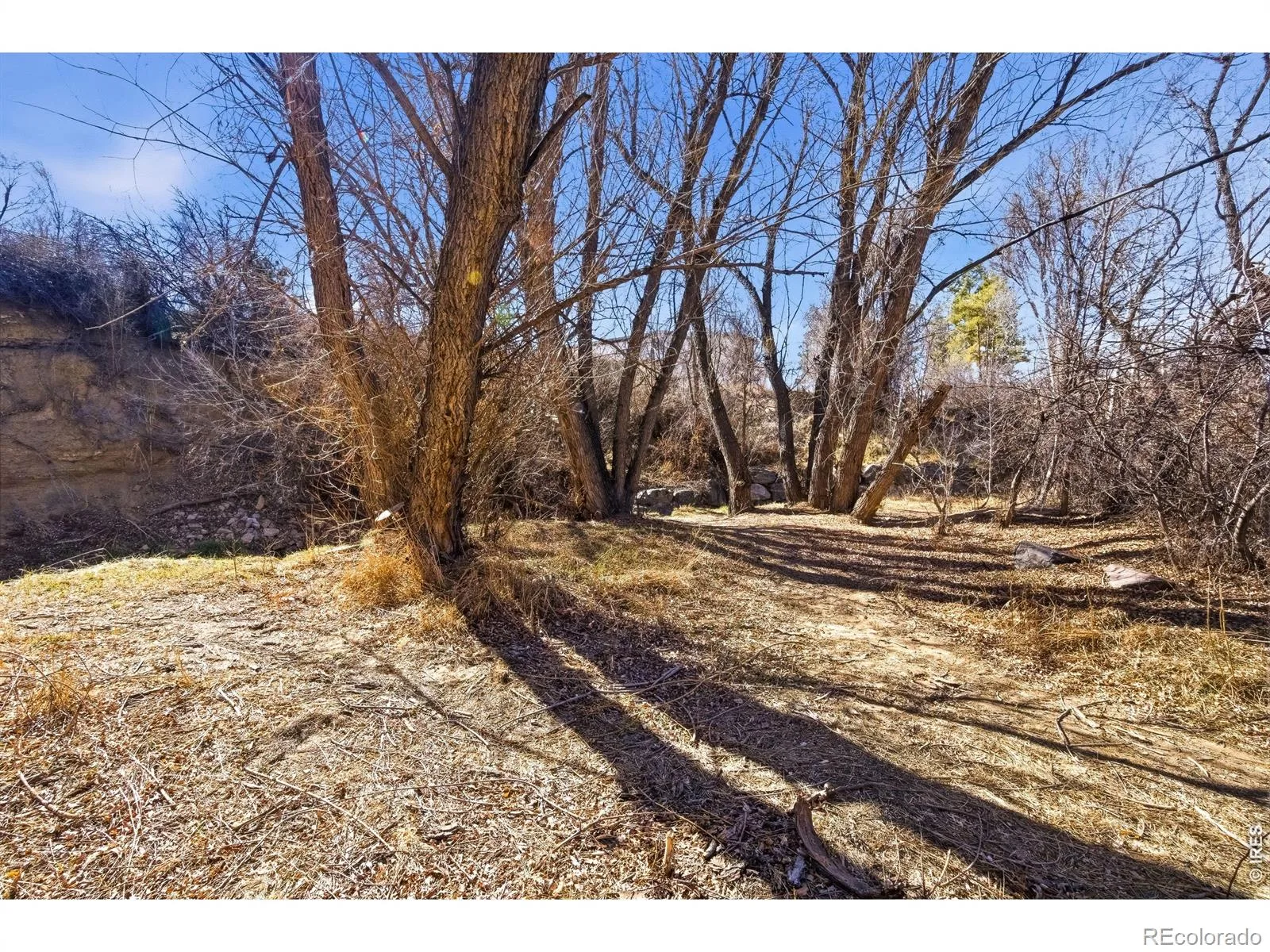 347 W Rafferty Gardens Avenue Littleton CO 80120 | MLS #RECIR1067536 08292026161734 1600 9