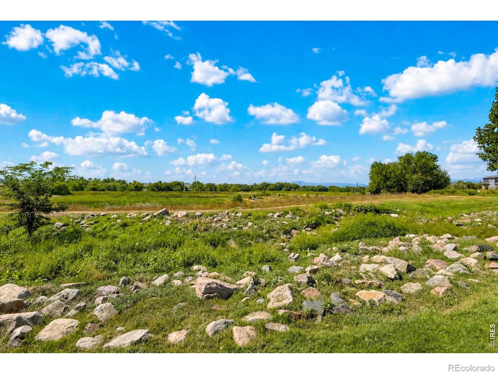 1601 Great Western Drive #G-7 Longmont CO 80501 | MLS #RECIR1067549 08292026224422 1600 33