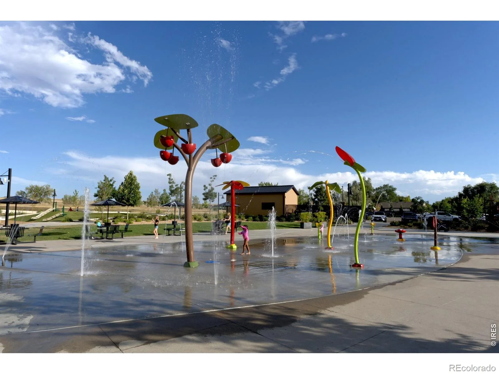 836 Kattell Court Erie CO 80516 | MLS #RECIR1067564 08312026162003 1600 18