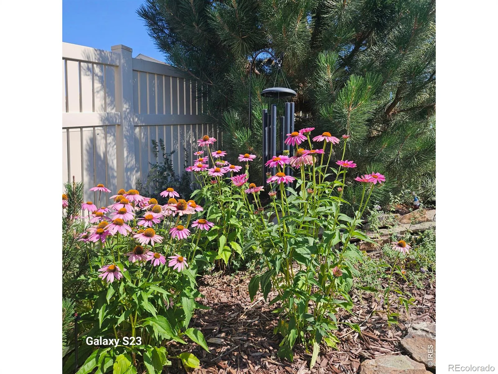 5606 Tumbleweed Avenue Firestone CO 80504 | MLS #RECIR1067625 08312026220836 1600 24