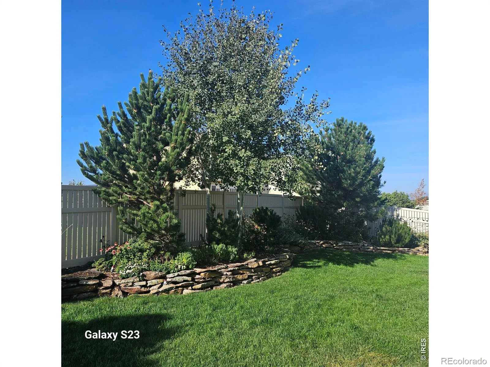 5606 Tumbleweed Avenue Firestone CO 80504 | MLS #RECIR1067625 08312026220836 1600 26