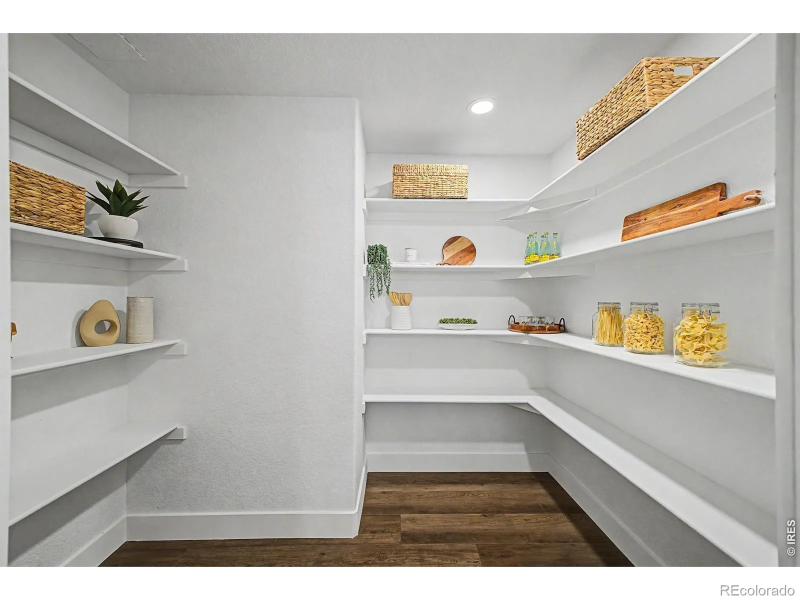 3081 S Ash Street Denver CO 80222 | MLS #RECIR1068467 09232026092732 1600 13
