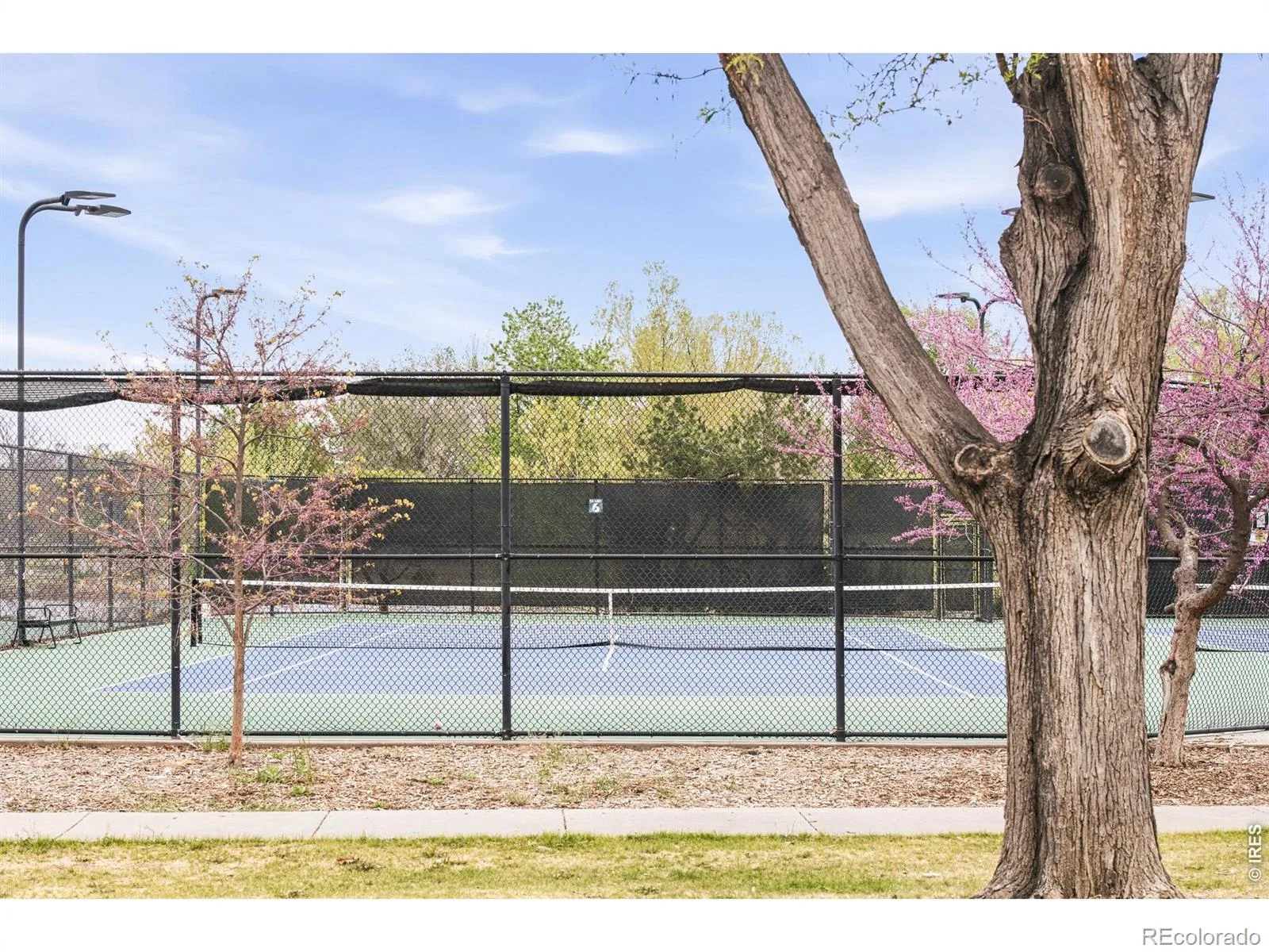 649 S Ogden Street Denver CO 80209 | MLS #RECIR1068784 09232026113336 1600 31