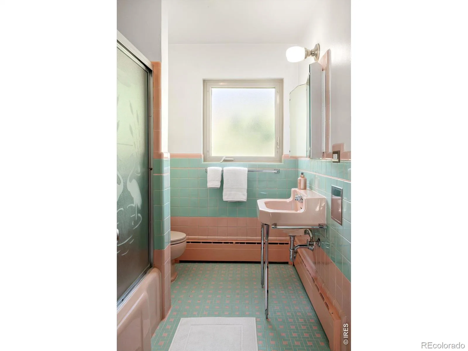 665 Ivy Street Denver CO 80220 | MLS #RECIR1069684 10162026013340 1600 21