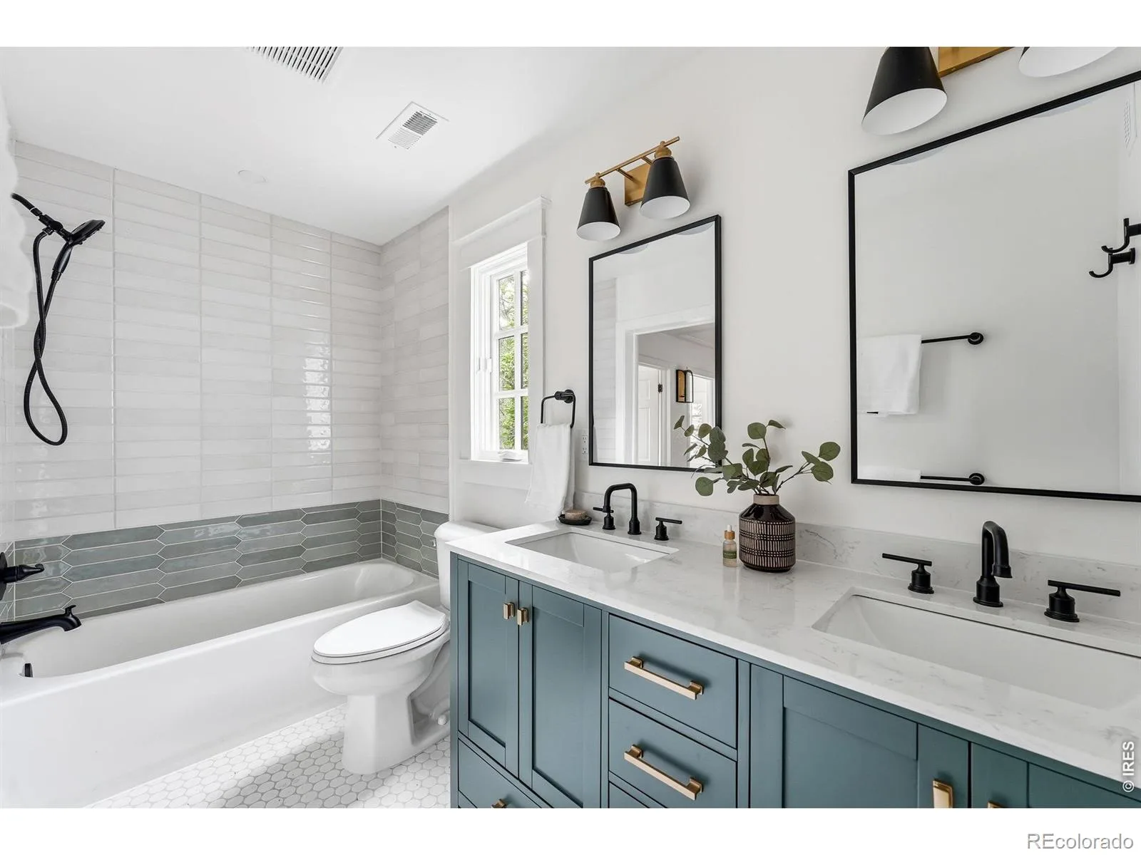 680 Albion Street Denver CO 80220 | MLS #RECIR1069709 10012026014321 1600 30