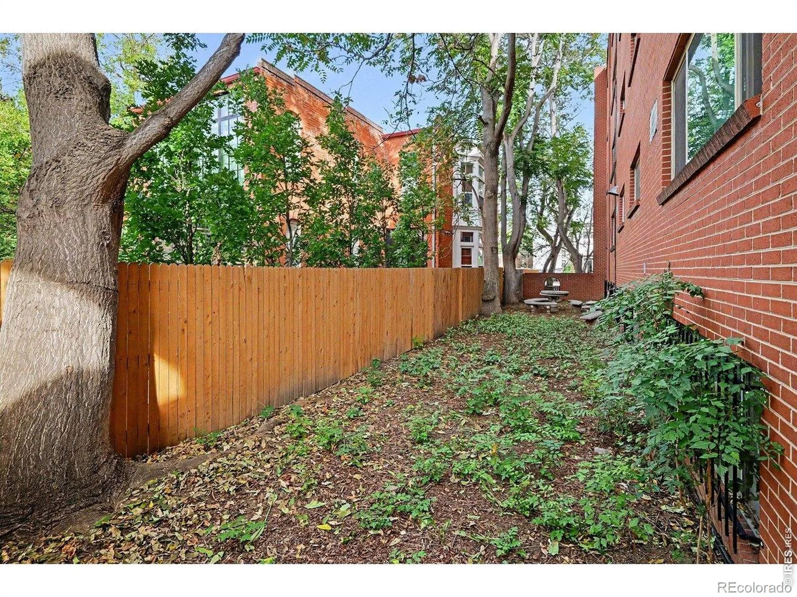 1267 N Lafayette Street #302 Denver CO 80218 | MLS #RECIR1070056 10172026223013 1600 15