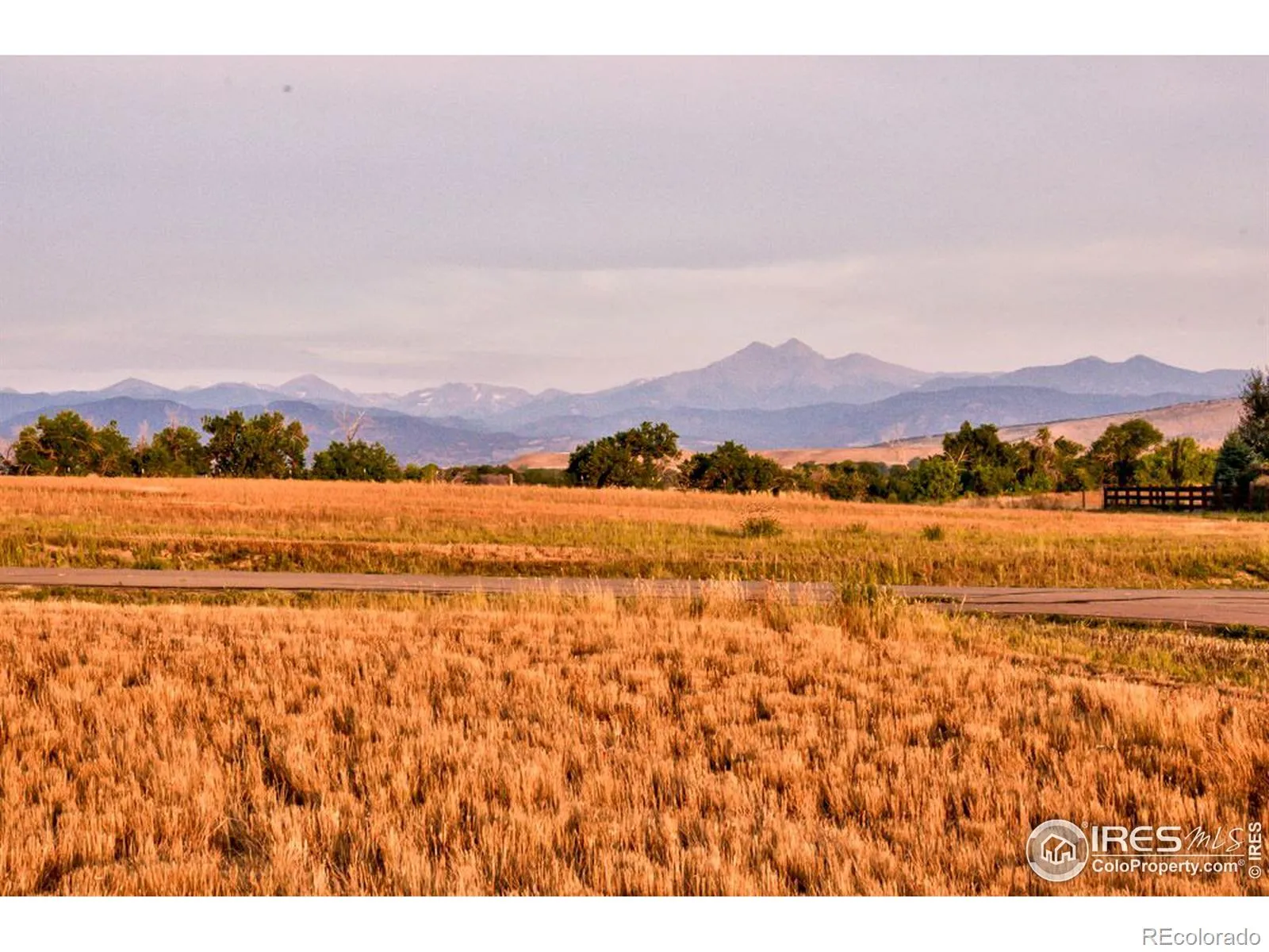 12924 Woodridge Drive Longmont CO 80504 | MLS #RECIR968861 04302026165319 1600 4