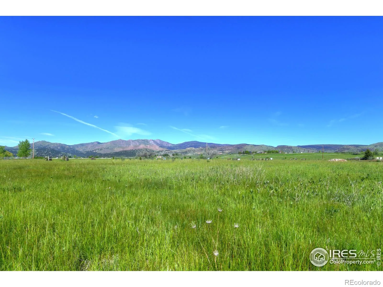 9231 Tollgate Drive Longmont CO 80503 | MLS #RECIR989001 04072026011153 1600 1