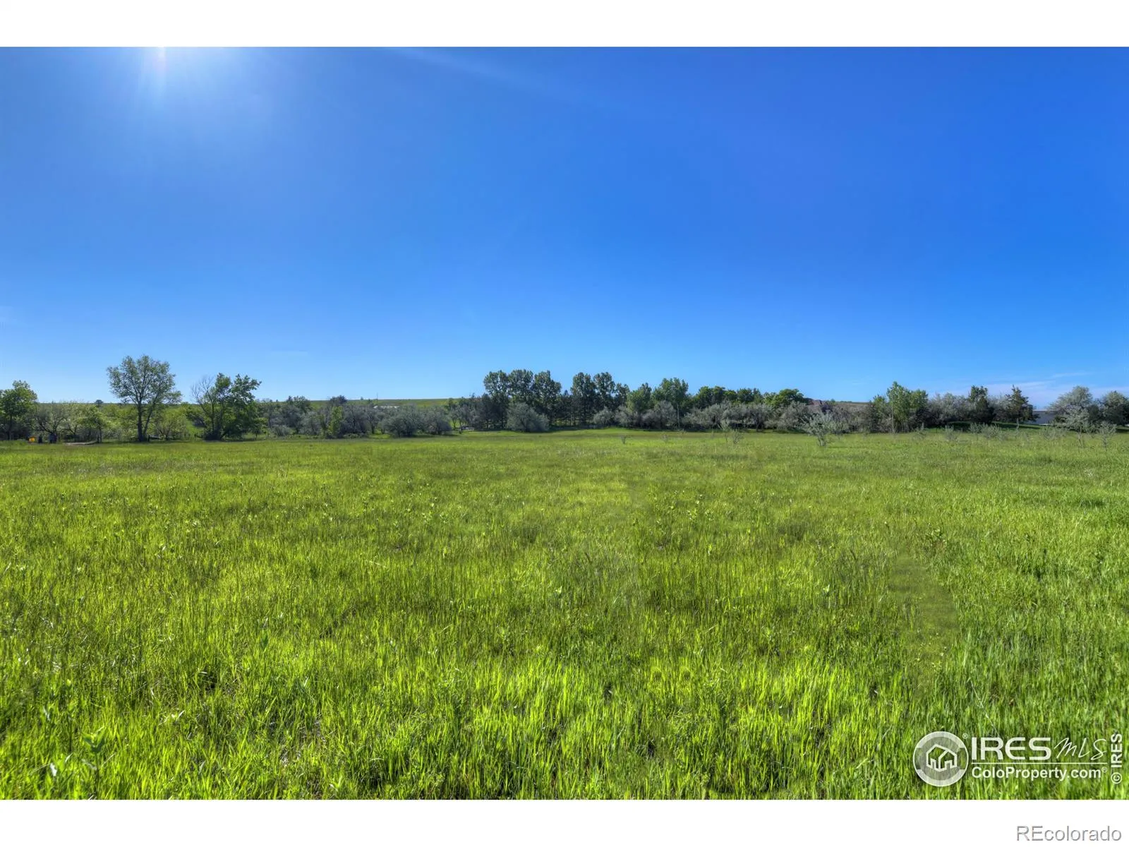 9231 Tollgate Drive Longmont CO 80503 | MLS #RECIR989001 04072026011153 1600 10