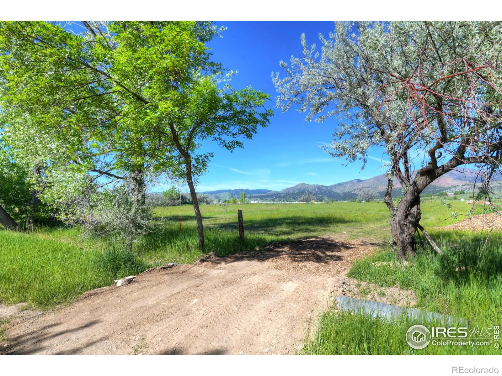 9231 Tollgate Drive Longmont CO 80503 | MLS #RECIR989001 04072026011153 1600 3