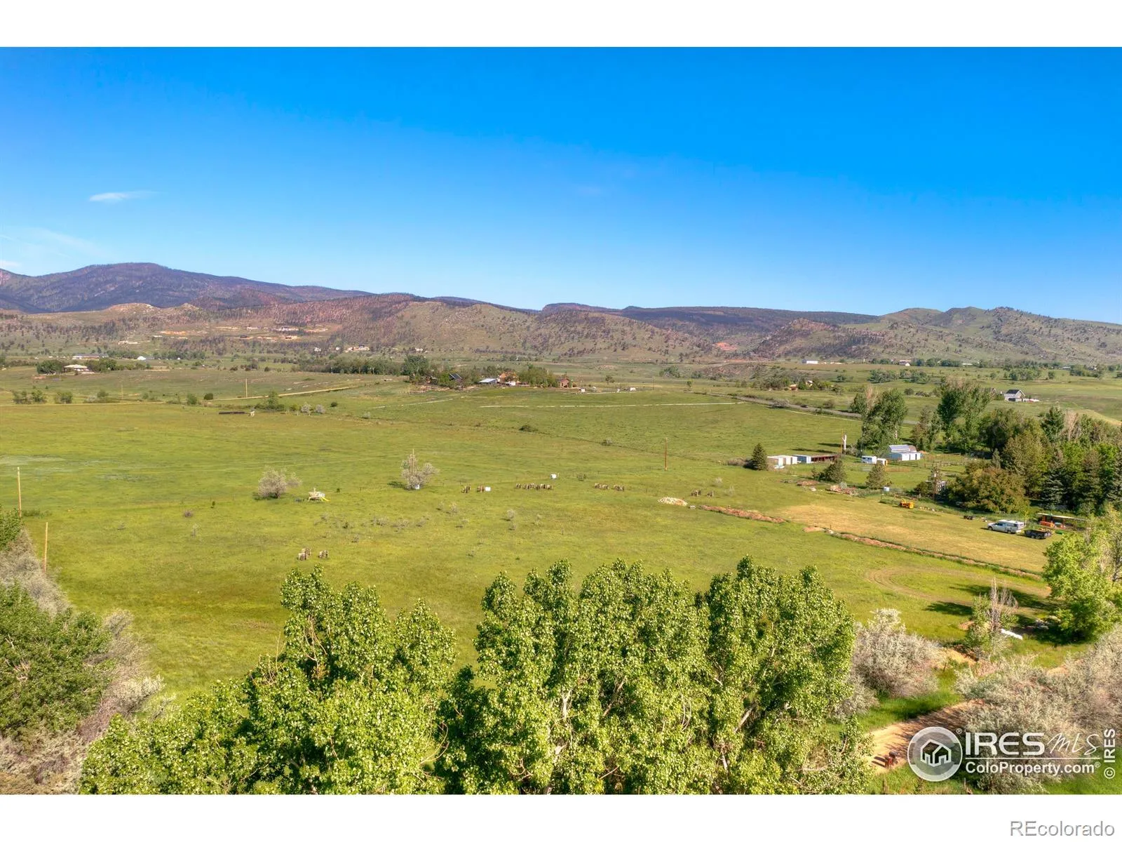 9231 Tollgate Drive Longmont CO 80503 | MLS #RECIR989001 04072026011153 1600 8